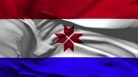 Closeup Mordovia  Flag Wave Loop waving in wind Realistic Mordovia Flag back Stock Footage 333085314