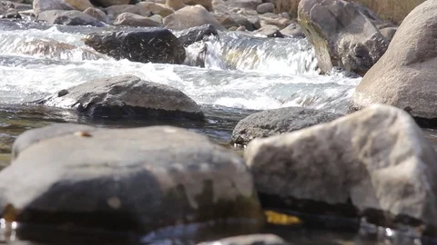 Closeup of a mountain river with rapids and stones. Vídeo Stock 105379954