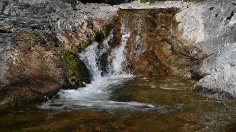 Closeup of a mountain stream in autumn Stock Footage 260940288