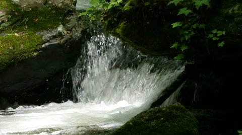 Closeup of Mountain Stream. Stock-Footage 50765323