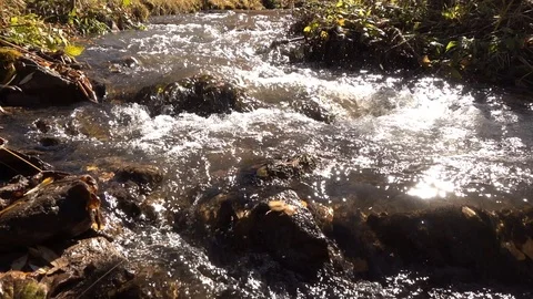 Closeup of mountain stream Stock Footage 119704178