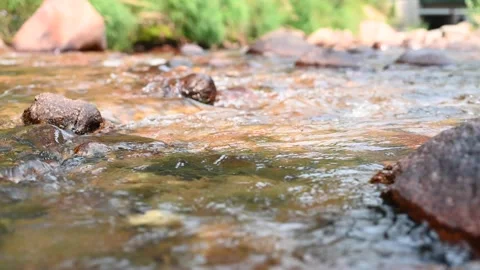 Closeup of mountain stream Stock Footage 161806348