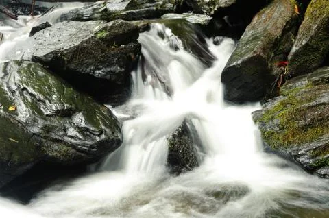 Closeup of mountain stream Stock Photos