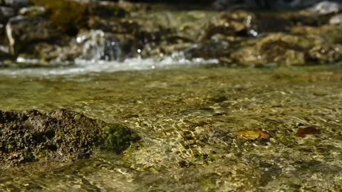 Closeup of a mountain stream (slow motion) Video stock 260843195