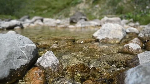 Closeup of a mountain stream in summer (slow motion) 스톡 동영상 260844863
