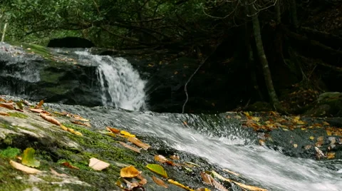Closeup of Mountain Stream water rushing by. Stock-Footage 42111441