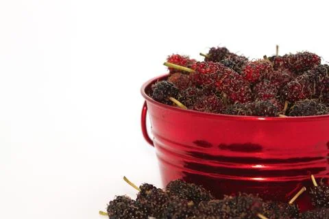 Closeup mulberry fruit ,isolate Stock Photos