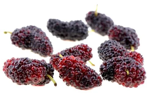 Closeup of mulberry Stock Photos