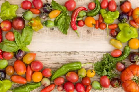 Closeup of multi-colored frame of fresh organic vegetables: paprika, tomatoes Stock Photos