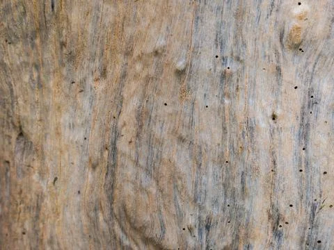 Closeup nature surface texture style of wooden, brick, wall , stone sheet Stock Photos