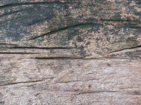 Closeup nature surface texture style of wooden, brick, wall , stone sheet Stock Photos