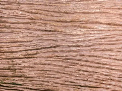 Closeup nature surface texture style of wooden, brick, wall , stone sheet Stock Photos