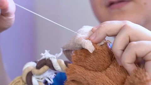 Closeup needlework: hand sewing a plush animal restoration Stock Footage 293653139