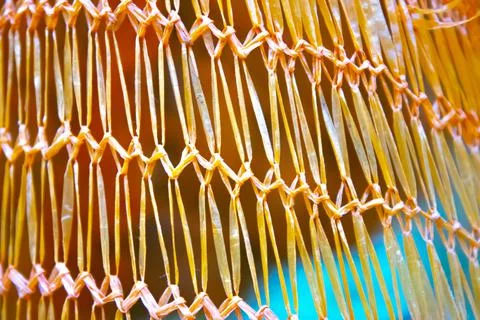 Closeup net, abstract texture background Stock Photos