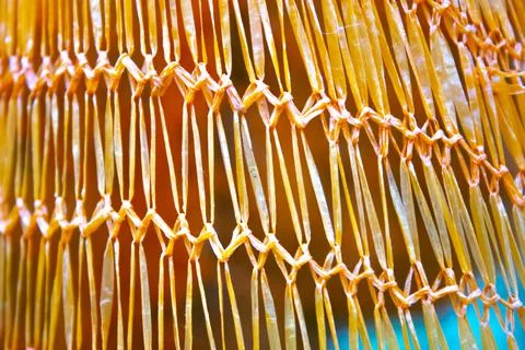 Closeup net, abstract texture background Stock Photos
