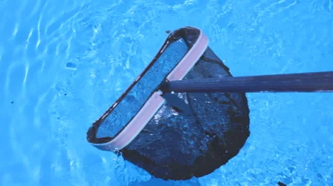 Closeup of A Net Cleaning A Swimming Pool Stock Footage 64050835