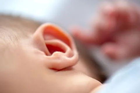 Closeup of a newborn ear Stock Photos