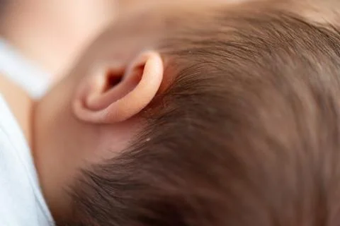 Closeup of a newborn ear Stock Photos