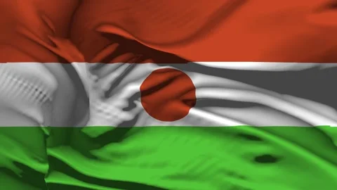 Closeup Niger Flag Wave Loop waving in wind Realistic Niger Flag background Stock Footage 334912296