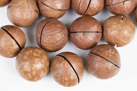 Closeup of nut shell textures. Fragmented macadamia shells with tactile surface Foto stock