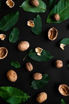 Closeup nutshell  and fresh green leafs scattered on a black background. Vert Stock Photos