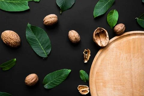Closeup nutshell and fresh green leafs on a black background. Part of woode.. Stock Photos