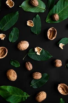 Closeup nutshell and fresh green leafs scattered on a black background. Ver.. Stock Photos