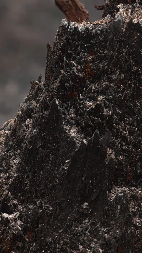 Crumbs Texture Stock Videos – Royalty-Free HD & 4K Videos