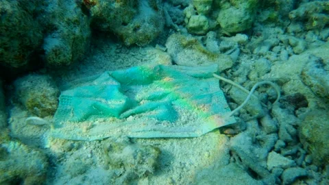 Closeup of old face mask lie on coral seabed of the Red Sea.   Stock Footage 143848936