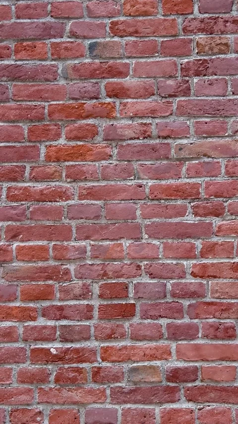 A closeup of an old red brick wall with gray mortar joints fills the frame Stock Footage 341950169