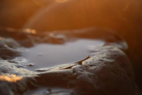 Closeup of Old tree trunk on the beach filled with water during the sunshine, Stockfoto's