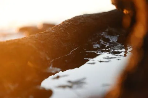 Closeup of Old tree trunk on the beach filled with water during the sunshine, Stock Photos