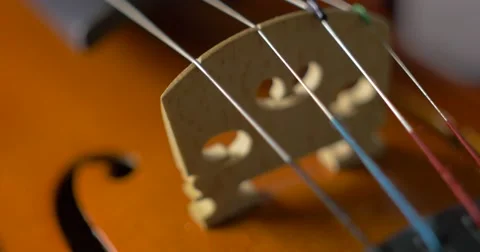 Closeup of old violin - macro 1 Stock Footage 63421542