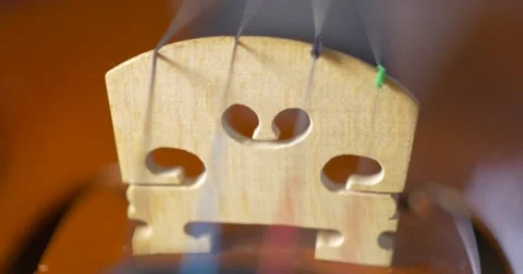 Closeup of old violin - macro 9 Stock Footage 63434459