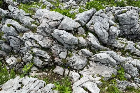 Closeup of old weathered rock formations in Bavarian Alps Stock Photos