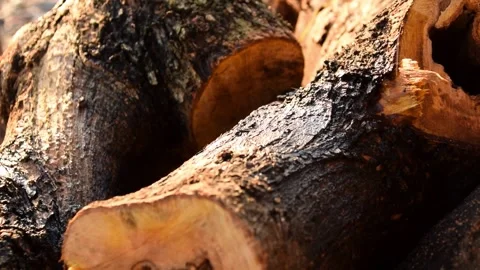 Closeup of old wooden surface dripping with water highlighting natural textur Video stock 312127859