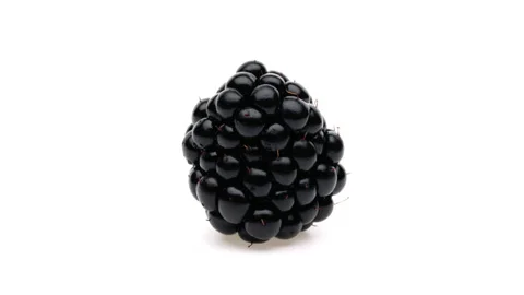 Closeup of one blackberry isolated. Rotating on white background. Macro. Stock Footage 166228446