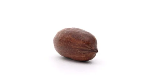 Closeup of one shelled pecan nut is rotating on white background. Stock Footage 157069397