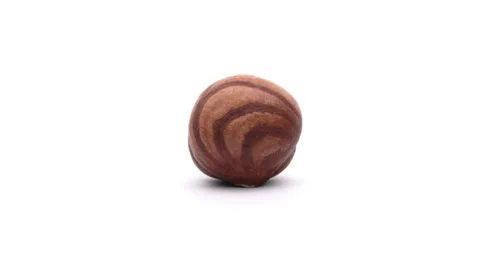 Closeup of one unshelled hazelnut is rotating on white background. Stock-Footage 157069844