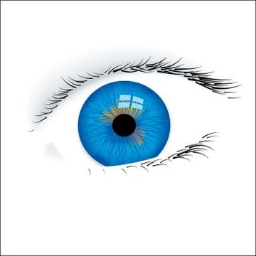 Closeup of an open blue eye isolated. Stock Illustration