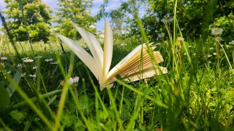Closeup of the open book lying down in green grass and white flowers Stock Photos