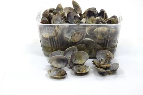Closeup of open clam shellfish seafood on a white surface Stock Photos
