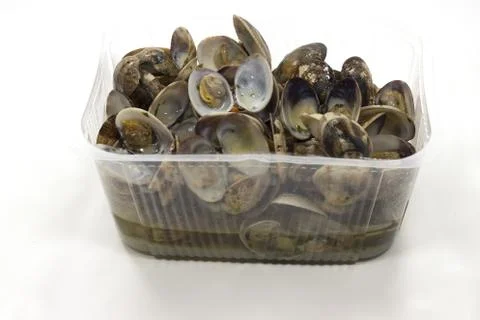 Closeup of open clam shellfish seafood on a white surface Stock Photos