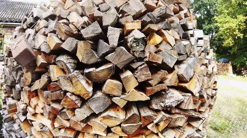 CloseUp or coppice on the pile Video stock 117412384