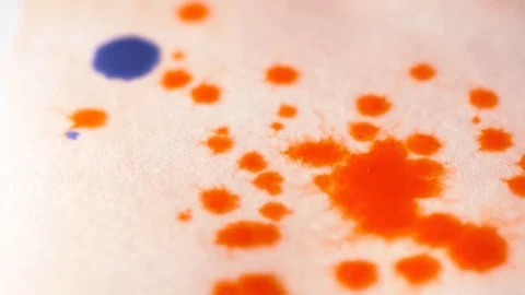 Closeup of orange and blue drops of watercolor on the paper slow motion Stock Footage 76196212