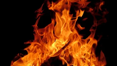 Closeup orange fire flame on black background. Stock Footage 90779217