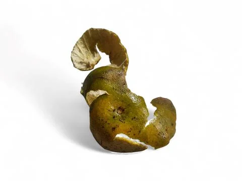 Closeup of orange peel Stock Photos