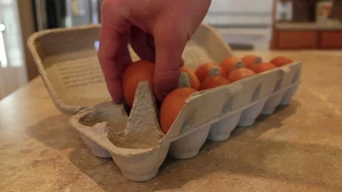 Closeup Of Organic Eggs Being Removed from Egg Carton in Kitchen Video stock 100575688