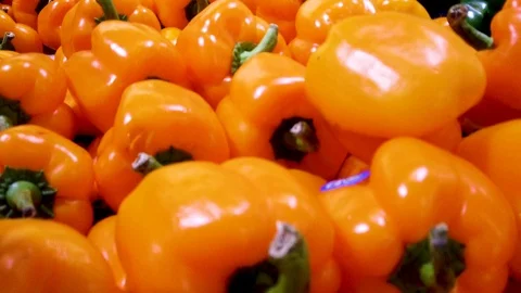 Closeup of Organic Orange Bell Pepper Healthy Eating Stock Footage 101050024