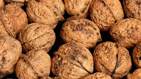 Closeup Organic Unbleached Walnuts  Background tracking shot Stock Footage 115902761